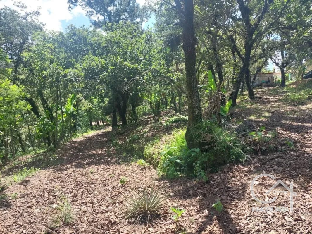 TERRENO en Venta- Alamedas de Yumar, zona 6 mixco — Terreno en Venta en Zona 6 Mixco, Guatemala, Ciudad — foto 4 de 13