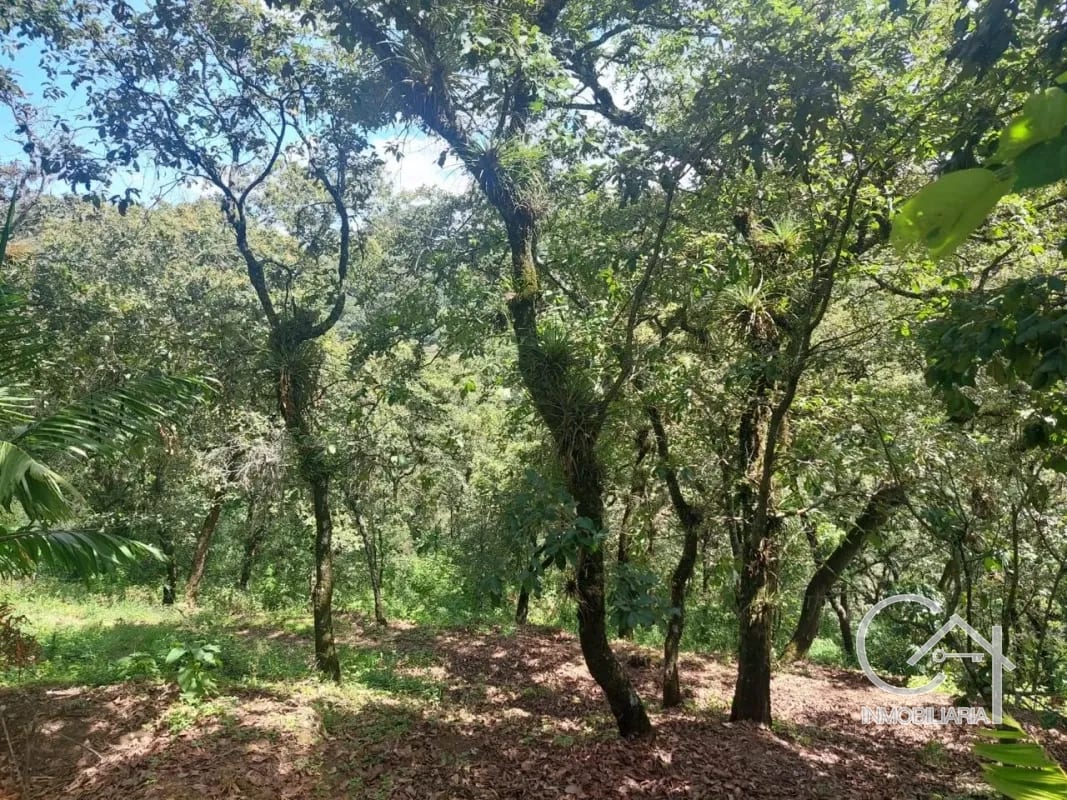 TERRENO en Venta- Alamedas de Yumar, zona 6 mixco — Terreno en Venta en Zona 6 Mixco, Guatemala, Ciudad — foto 2 de 13