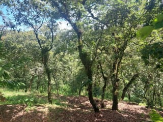 TERRENO en Venta-  Alamedas de Yumar, zona 6 mixco — Terreno en Venta en Zona 6 Mixco, Guatemala, Ciudad — miniatura 2 de 13
