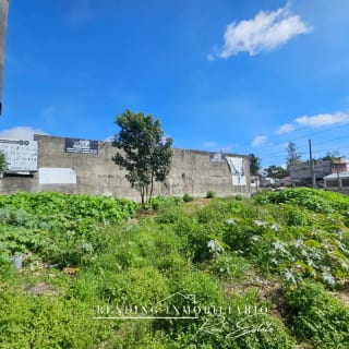 Terreno en renta km 14.5 Carretera a El Salvador 2,000 v² comercial — Terreno en Alquiler en Carretera a El Salvador, Guatemala, Ciudad — miniatura 4 de 7