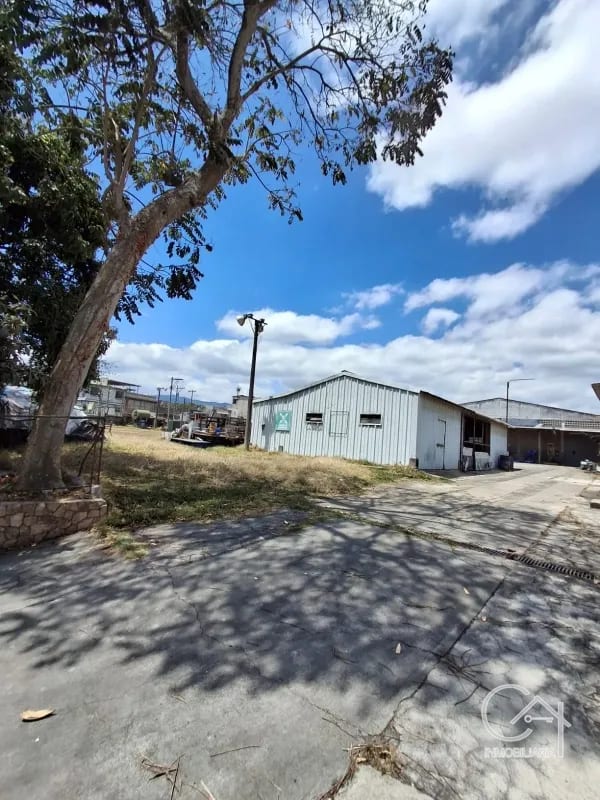 BODEGAS en Venta - (Ofi-Bodegas) ๐๐จ๐ฆ๐ฉ๐ฅ๐๐ฃ๐จ ๐๐ง๐๐ฎ๐ฌ๐ญ๐ซ๐ข๐๐ฅ, ๐๐ข๐ฑ๐๐จ- ๐๐ฎ๐๐ญ๐๐ฆ๐๐ฅ๐ โ Bodega / Ofibodega en Venta en Zona 6 Mixco, Guatemala, Ciudad โ foto 16 de 17