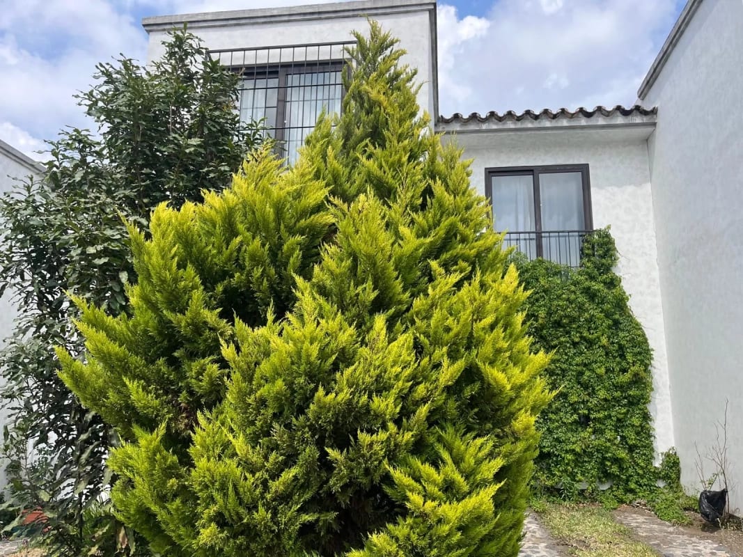 ACOGEDORA CASA EN CONDADO ANTIGUA — Casa en Alquiler en Alotenango, Sacatepéquez — foto 6 de 17