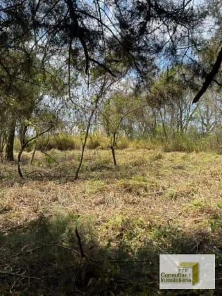 Casa y Campo/ terreno en venta/ 12120v2 — Terreno en Venta en Carretera a El Salvador, Guatemala, Ciudad — miniatura 4 de 8