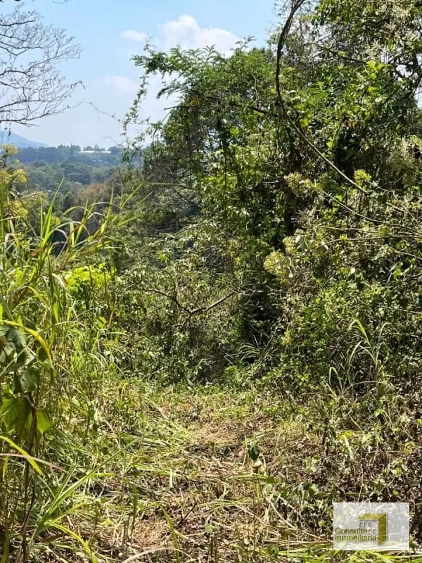Casa y Campo/ terreno en venta/ 12120v2 — Terreno en Venta en Carretera a El Salvador, Guatemala, Ciudad — foto 3 de 8
