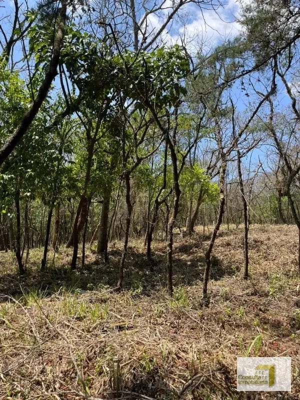 Casa y Campo/ terreno en venta/ 2411v2 — Terreno en Venta en Carretera a El Salvador, Guatemala, Ciudad — foto 1 de 4