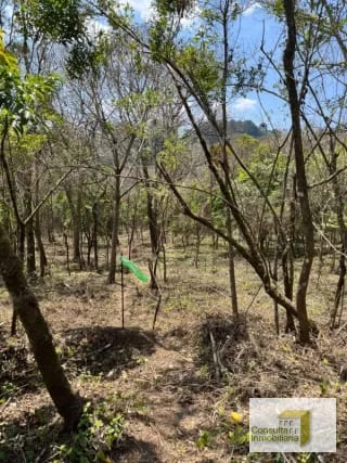 Casa y Campo/ terreno en venta/ 2411v2 — Terreno en Venta en Carretera a El Salvador, Guatemala, Ciudad — miniatura 4 de 4