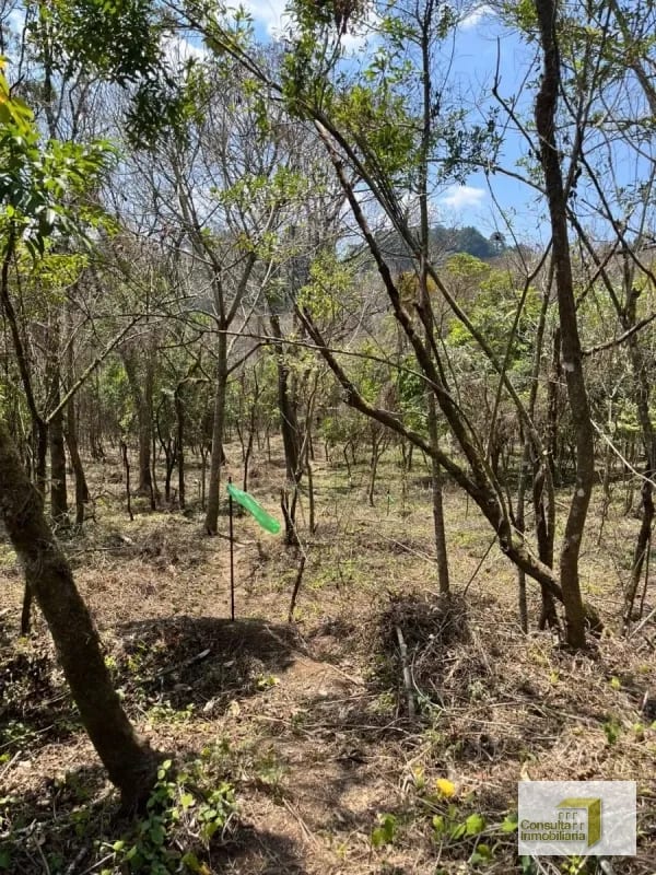 Casa y Campo/ terreno en venta/ 3286v2 — Terreno en Venta en Carretera a El Salvador, Guatemala, Ciudad — foto 3 de 6