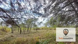 Terrenos en Venta en Casa y Campo km 23.5 CES — Terreno en Venta en km 21-25, Carretera a El Salvador, Guatemala, Ciudad — miniatura 14 de 15