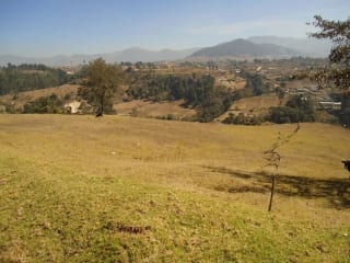 XELA VENDO TERRENO DE 19 CUERDAS — Terreno en Venta en Cantel, Quetzaltenango — miniatura 5 de 5