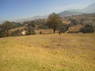 XELA VENDO TERRENO DE 19 CUERDAS — Terreno en Venta en Cantel, Quetzaltenango — miniatura 2 de 5