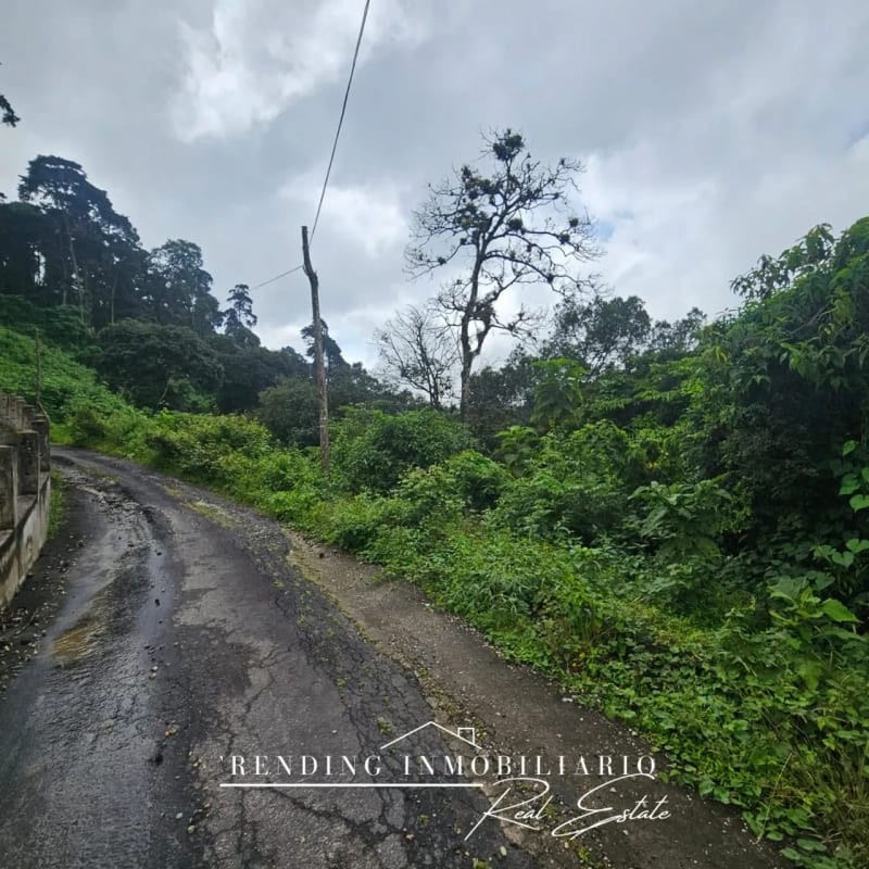 Terreno en venta Carretera a El Salvador km 12.5 Santa Rosalía Encinos con 1,965 v² de extensión — Terreno en Venta en Santa Rosalia La Laguna, Carretera a El Salvador, Guatemala, Ciudad — foto 6 de 8