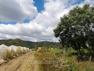 Terreno en venta zona 18 sector Las Tapias con 96 manzanas de extensión — Terreno en Venta en Zona 18, Guatemala, Ciudad — miniatura 6 de 6