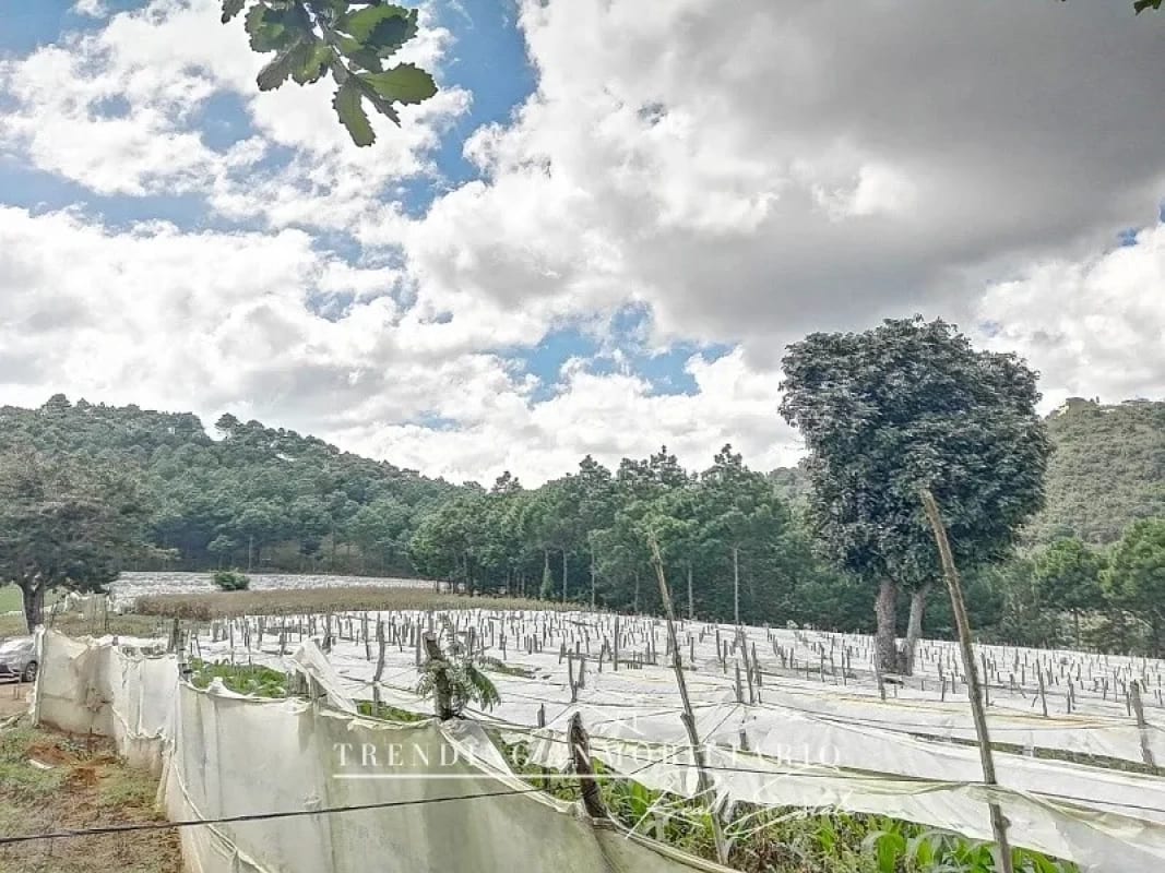 Terreno en venta zona 18 sector Las Tapias con 96 manzanas de extensión — Terreno en Venta en Zona 18, Guatemala, Ciudad — foto 4 de 6