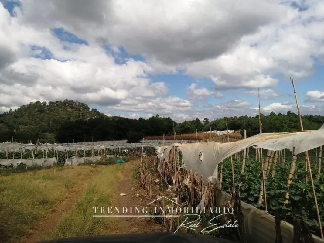 Terreno en venta zona 18 sector Las Tapias con 96 manzanas de extensión — Terreno en Venta en Zona 18, Guatemala, Ciudad — foto 3 de 6