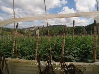 Terreno en venta zona 18 sector Las Tapias con 96 manzanas de extensión — Terreno en Venta en Zona 18, Guatemala, Ciudad — miniatura 2 de 6