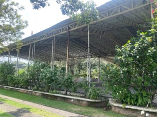 PRECIOSA PROPIEDAD DE ESQUINA EN ALOTENANGO  FRENTE A LA RN14 — Terreno en Venta en Alotenango, Sacatepéquez — miniatura 13 de 14