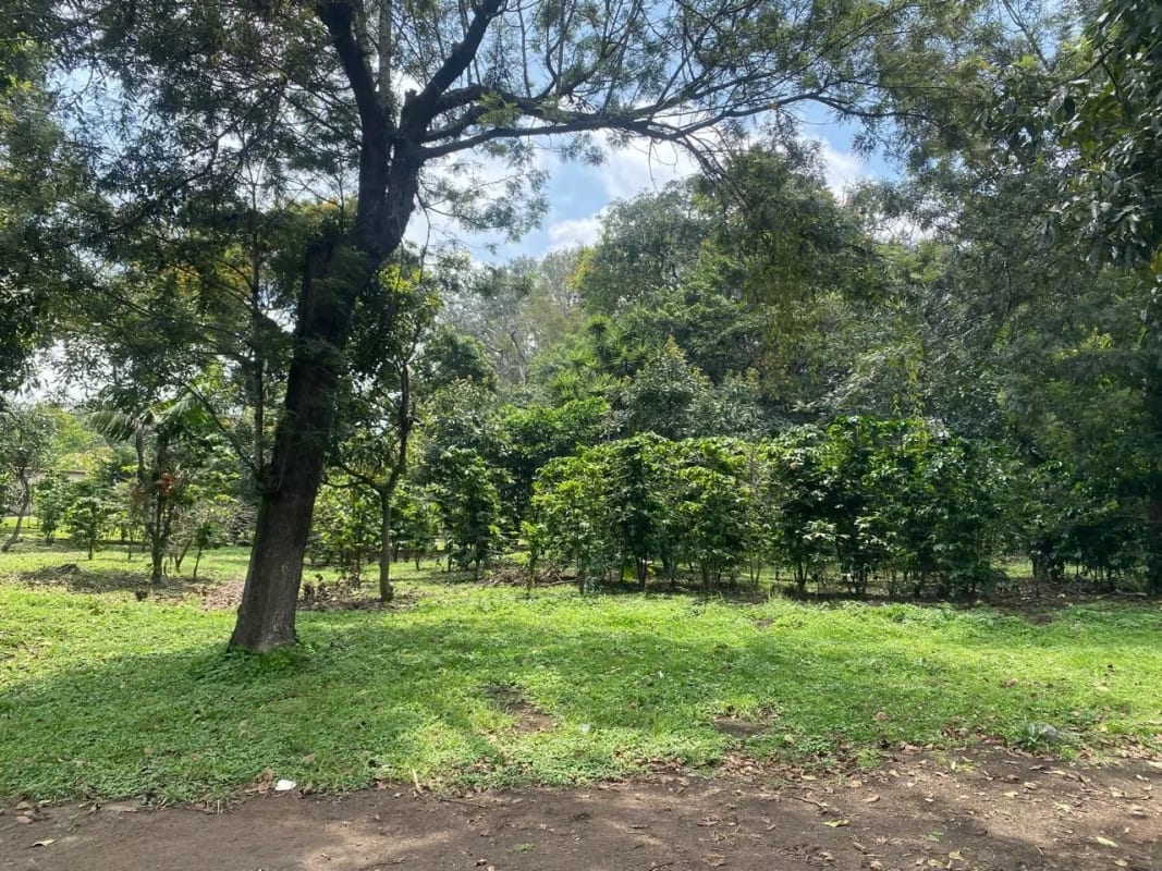 PRECIOSA PROPIEDAD DE ESQUINA EN ALOTENANGO  FRENTE A LA RN14 — Terreno en Venta en Alotenango, Sacatepéquez — foto 6 de 14