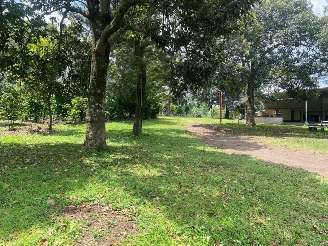 PRECIOSA PROPIEDAD DE ESQUINA EN ALOTENANGO  FRENTE A LA RN14 — Terreno en Venta en Alotenango, Sacatepéquez — foto 3 de 14