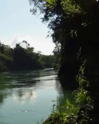 Terreno en Venta en Coban Alta Verapaz, Isla Privada — Terreno en Venta en Cobán, Alta Verapaz — miniatura 3 de 10