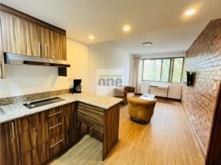Apartamento Amueblado de 1 dormitorio en zona 14 — Apartamento en Alquiler en Zona 14, Guatemala, Ciudad — miniatura 1 de 6