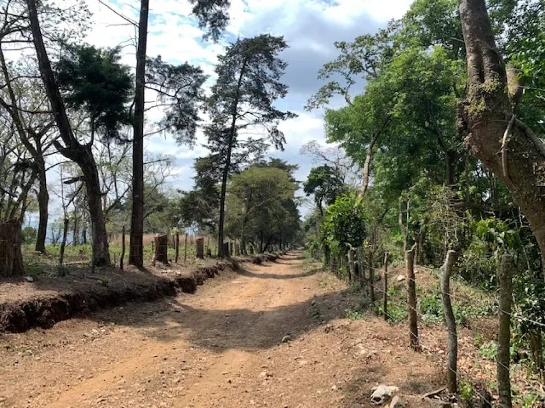 Terreno 7 manzanas km 26.5 a Santa Elena Barillas — Terreno en Venta en Santa Elena Barillas, Guatemala, Ciudad — foto 6 de 6
