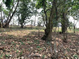 Terreno 7 manzanas km 26.5 a Santa Elena Barillas — Terreno en Venta en Santa Elena Barillas, Guatemala, Ciudad — miniatura 4 de 6