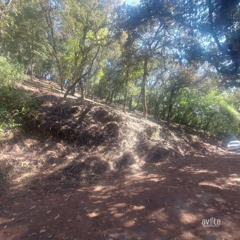 El Encinal, tronco 10.   Terreno de 4,460 varas en venta Q900,000 más impuestos, negociable — Terreno en Venta en El Encinal, Zona 7 Mixco, Guatemala, Ciudad — foto 9 de 9