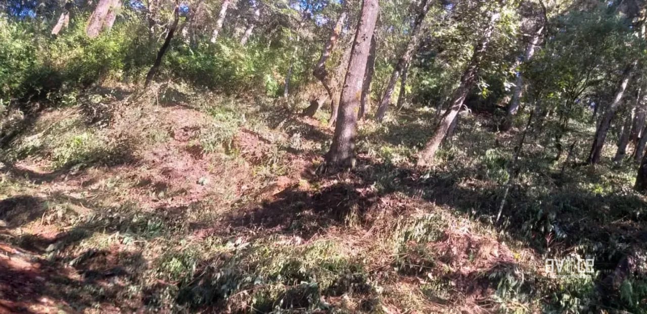 El Encinal, tronco 10.   Terreno de 4,460 varas en venta Q900,000 más impuestos, negociable — Terreno en Venta en El Encinal, Zona 7 Mixco, Guatemala, Ciudad — foto 8 de 9