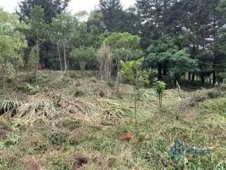 Terreno en venta – Km. 16 Carretera a El Salvador — Terreno en Venta en km 16-20, Carretera a El Salvador, Guatemala, Ciudad — miniatura 15 de 17