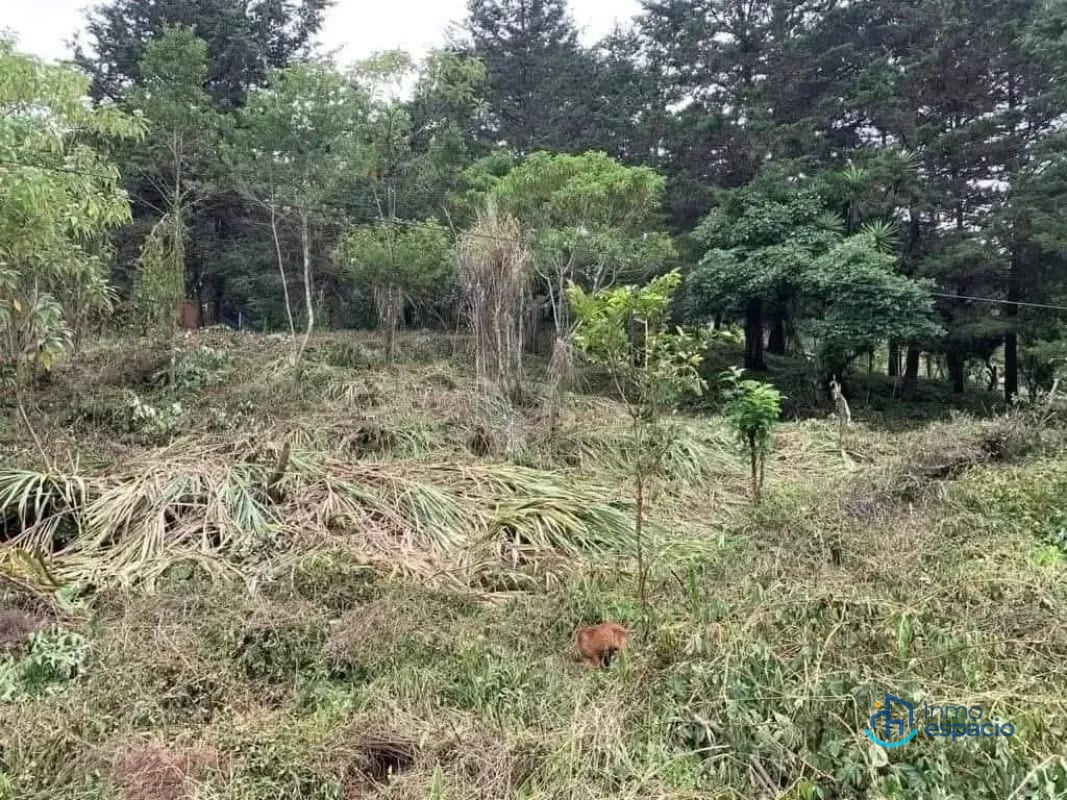 Terreno en venta – Km. 16 Carretera a El Salvador — Terreno en Venta en km 16-20, Carretera a El Salvador, Guatemala, Ciudad — foto 15 de 17
