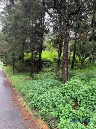 Terreno en venta – Km. 16 Carretera a El Salvador — Terreno en Venta en km 16-20, Carretera a El Salvador, Guatemala, Ciudad — miniatura 6 de 17