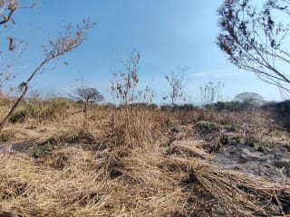 Alquilo terreno en Escuinta de 2.5 manzanas, muy cerca de Prados de la Costa Sur — Terreno en Alquiler en Costa Sur, Escuintla — miniatura 10 de 12