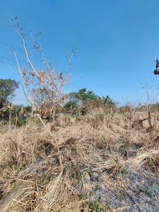 Alquilo terreno en Escuinta de 2.5 manzanas, muy cerca de Prados de la Costa Sur — Terreno en Alquiler en Costa Sur, Escuintla — miniatura 4 de 12