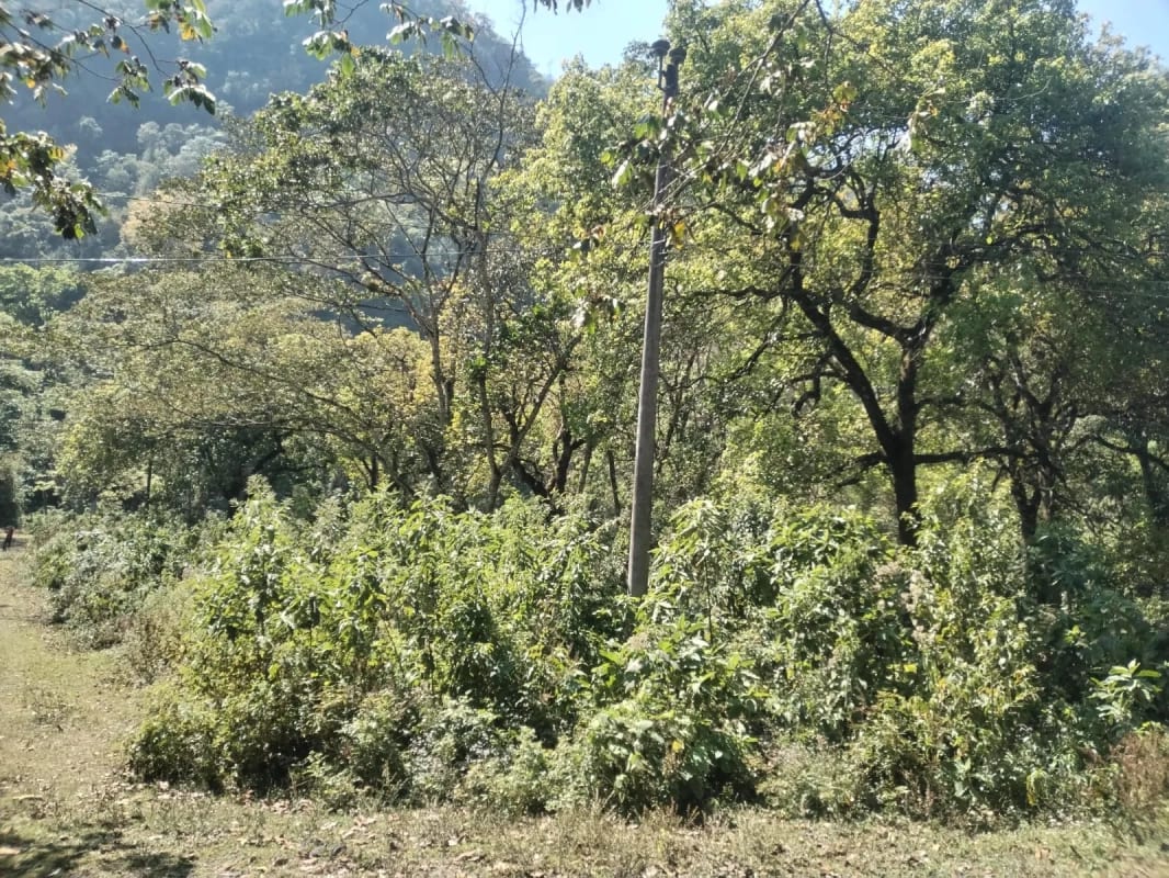 Terreno en Santiago Atitlán — Terreno en Venta en Santiago Atitlán, Sololá — foto 1 de 3