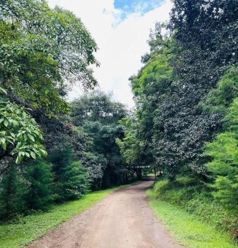 TERRENO EN VENTA EN HACIENDA LAS LLANURAS, KM 43.8 SUMPANCO, SACATEPEQUEZ — Terreno en Venta en Sumpango, Sacatepéquez — foto 6 de 10