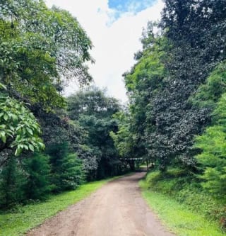 TERRENO EN VENTA EN HACIENDA LAS LLANURAS, KM 43.8 SUMPANCO, SACATEPEQUEZ — Terreno en Venta en Sumpango, Sacatepéquez — miniatura 6 de 10