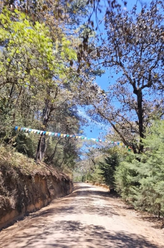 TERRENO EN VENTA EN HACIENDA LAS LLANURAS, KM 43.8 SUMPANCO, SACATEPEQUEZ — Terreno en Venta en Sumpango, Sacatepéquez — foto 5 de 10