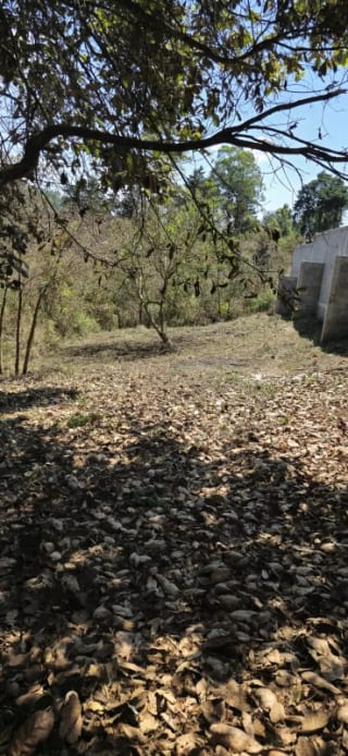TERRENO EN VENTA EN HACIENDA LAS LLANURAS, KM 43.8 SUMPANCO, SACATEPEQUEZ — Terreno en Venta en Sumpango, Sacatepéquez — miniatura 4 de 10