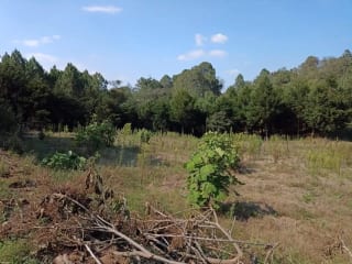 Terreno en Santa María Cauqué, Santiago Sacatepéquez — Terreno en Venta en Santiago Sacatepéquez, Sacatepéquez — miniatura 1 de 3