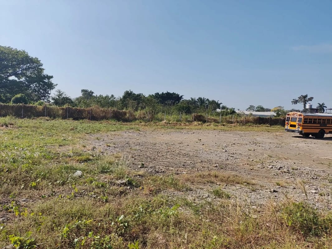 Rento terreno en Escuintla a largo plazo, pegado a la Despensa Familiar — Terreno en Alquiler en Palín, Escuintla — foto 7 de 9