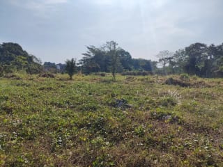Rento terreno en Escuintla a largo plazo, pegado a la Despensa Familiar — Terreno en Alquiler en Palín, Escuintla — miniatura 6 de 9