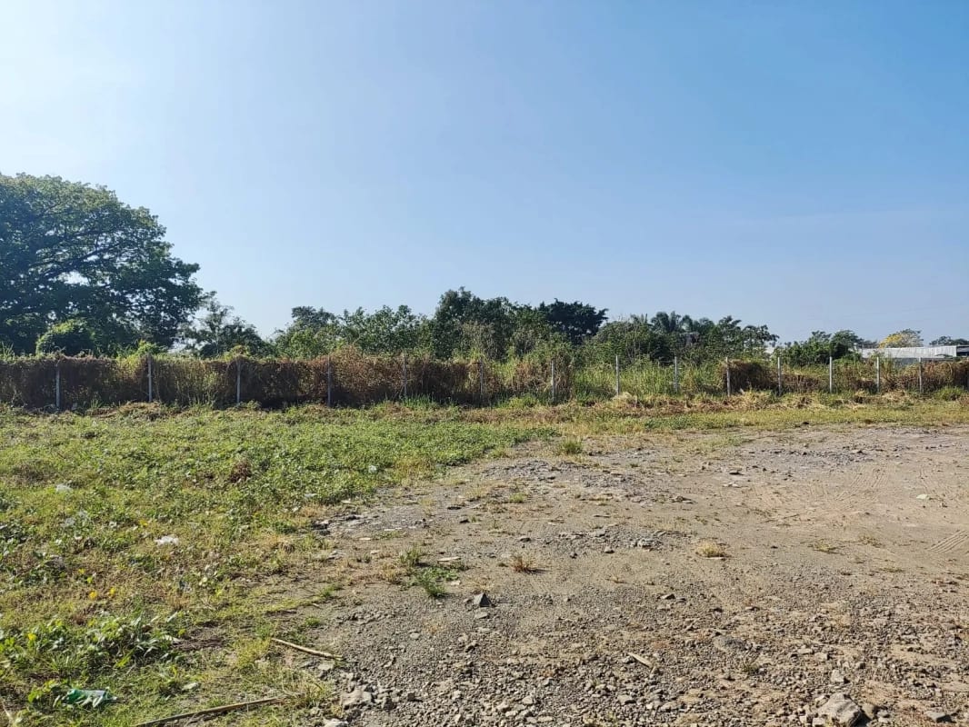 Rento terreno en Escuintla a largo plazo, pegado a la Despensa Familiar — Terreno en Alquiler en Palín, Escuintla — foto 2 de 9
