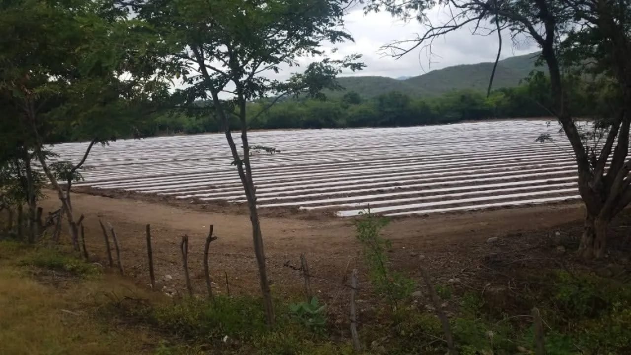 Se vende finca de 26.7 manzanas en El Progreso, Guastatoya — Finca en Venta en El Jícaro, El Progreso — foto 7 de 9