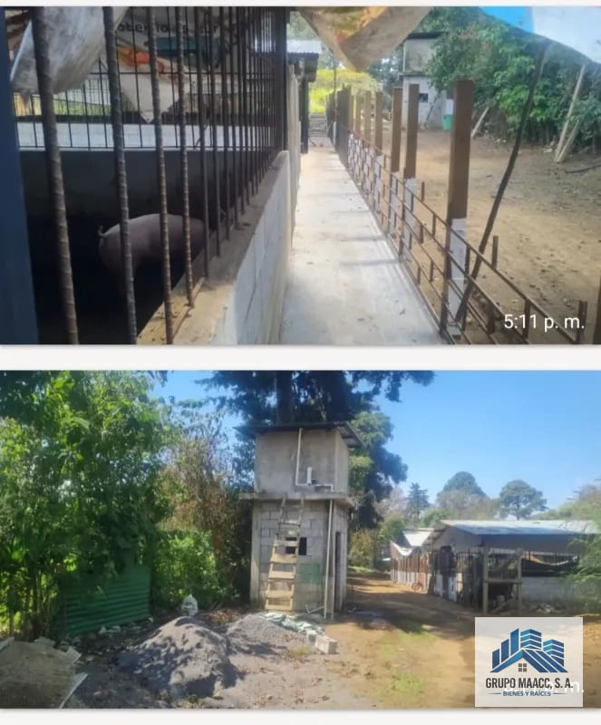 VENTA GRANJA PORCINA EN FUNCIONAMIENTO — Finca en Venta en Chimaltenango, Chimaltenango — foto 6 de 9