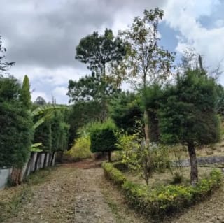 CASA EN VENTA EN ALDEA CHIYUC – CRISTOBAL – ALTA VERAPAZ — Terreno en Venta en San Cristóbal Verapaz, Alta Verapaz — miniatura 4 de 17