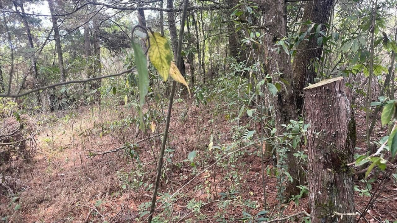 Terreno Altavista San José Pinula — Terreno en Venta en San José Pinula, Guatemala, Ciudad — foto 4 de 4