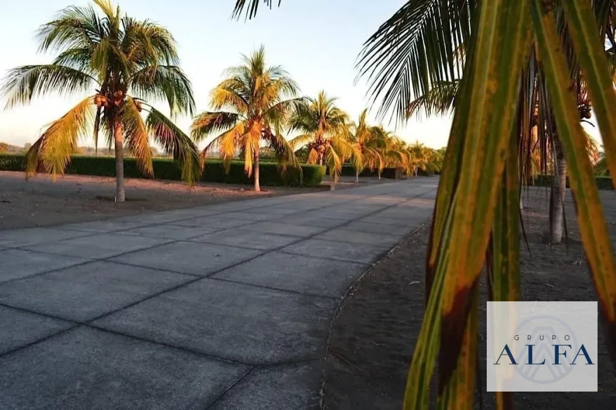 TERRENO 2,000 VARAS EN VENTA PALMERAS DE MONTERRICO — Terreno en Venta en Monterrico, Santa Rosa — foto 4 de 8