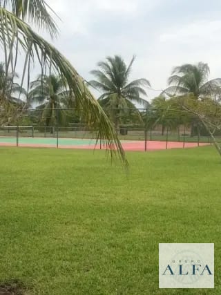 CASA EN RENTA PALMERAS DE MONTERRICO — Casa vacacional en Alquiler en Monterrico, Santa Rosa — miniatura 4 de 16