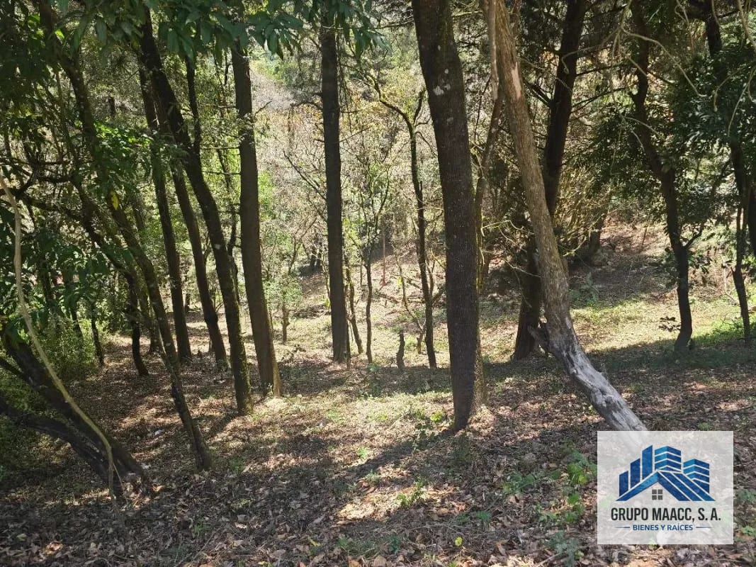 GANGA VENTA TERRENO ENCINAL TRONCO 8 — Terreno en Venta en Zona 7 Mixco, Guatemala, Ciudad — foto 2 de 7
