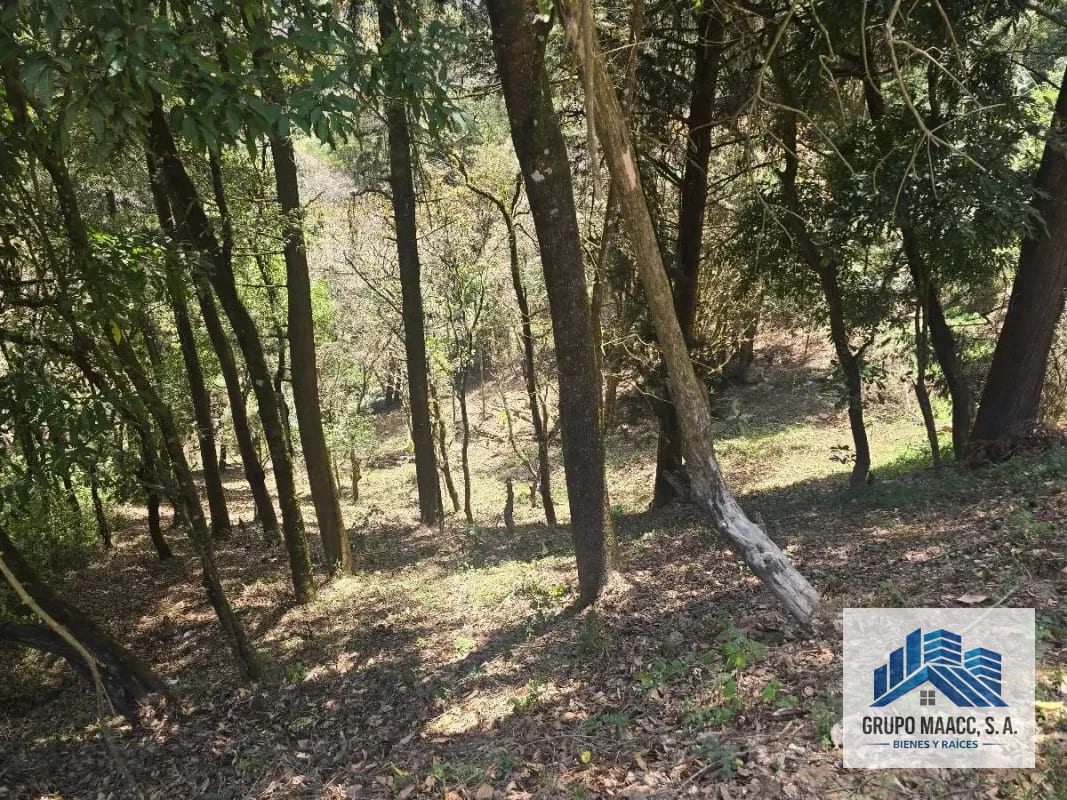 GANGA VENTA TERRENO ENCINAL TRONCO 8 — Terreno en Venta en Zona 7 Mixco, Guatemala, Ciudad — foto 7 de 7